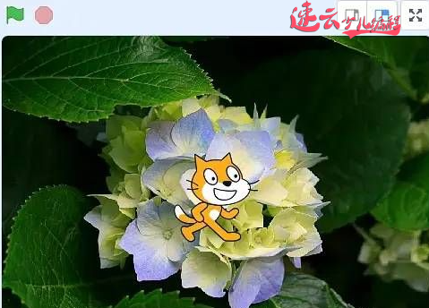 济南少儿编程:Scratch编程制作飞机大战!让孩子自己做游戏吧!~山东少儿编程~少儿编程(图9) 济南少儿编程:Scratch编程制作飞机大战!让孩子自己做游戏吧!~山东少儿编程~少儿编程(图9)