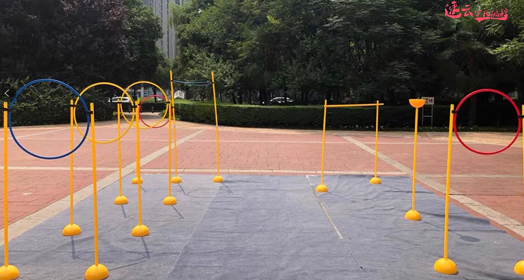 山东少儿编程:用Scratch编程制作字母游戏~济南少儿编程~少儿编程(图11) 山东少儿编程:用Scratch编程制作字母游戏~济南少儿编程~少儿编程(图11)